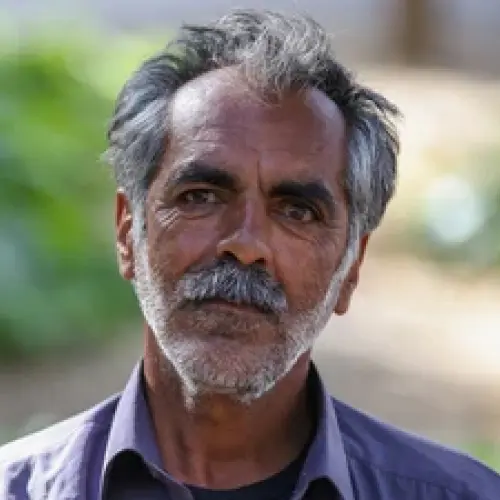 ثمین ماشین وارد کننده ماشین آلات صنعت چوب